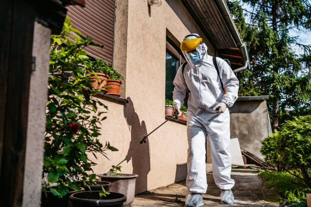 Best Best Pest Control Companies  in Forest Glen, MD