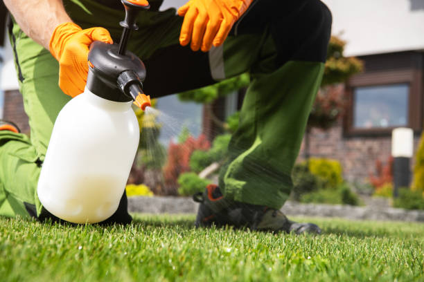 Professional Pest Control in Forest Glen, MD