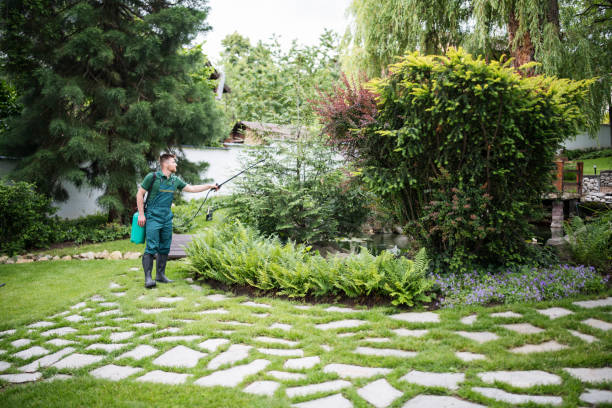 Wildlife Control Services in Forest Glen, MD