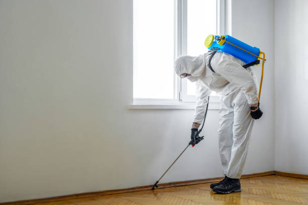 Best Wildlife Control Services  in Forest Glen, MD