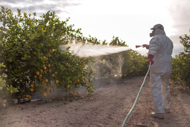 Best Best Pest Control Companies  in Forest Glen, MD