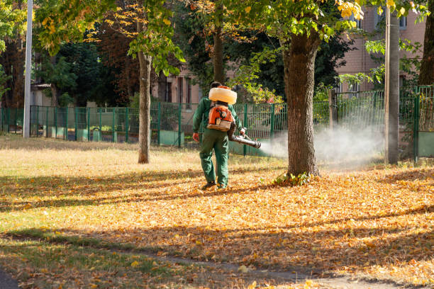 Best Emergency Pest Control  in Forest Glen, MD