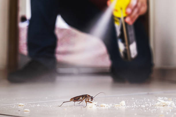 Best Exterminator Services  in Forest Glen, MD