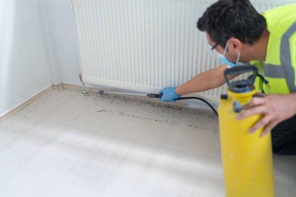 Best Flea Control Services  in Forest Glen, MD